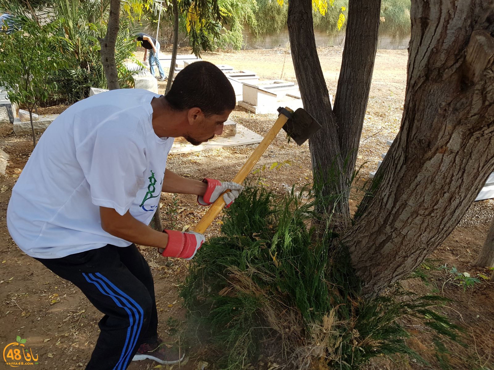 tasoo tandefet (65).jpg